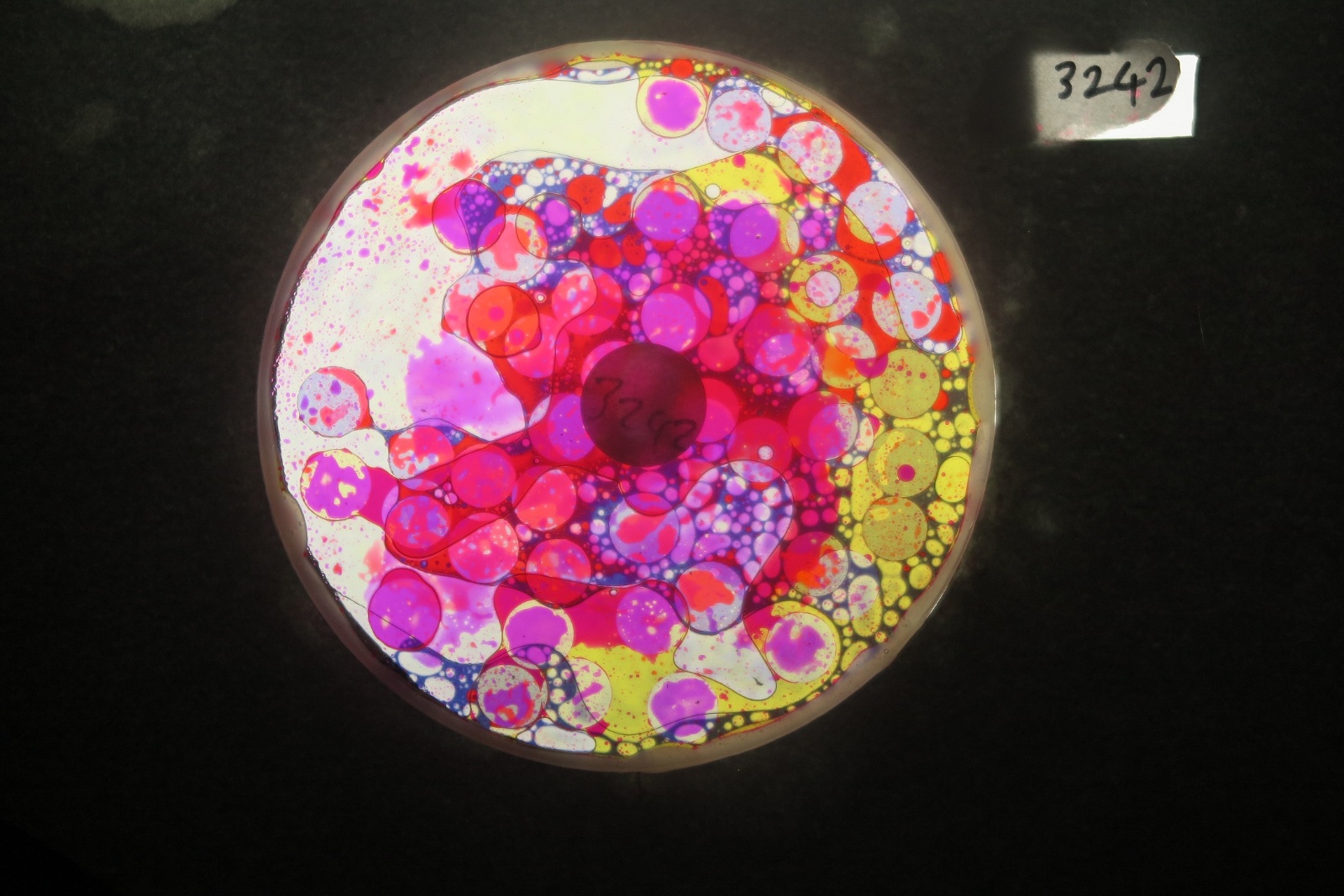 BV3242 bubble vision oil wheel